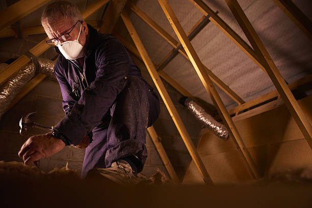 Best Residential Insulation in Katy, TX